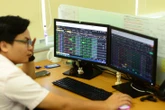 Chứng khoán rơi sâu, khối ngoại và tự doanh âm thầm gom hàng