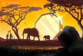 Zimbabwe admits seven fintech projects to regulatory sandbox