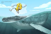 Bitcoin faces fresh capitulation risk as 50K BTC moved at a loss
