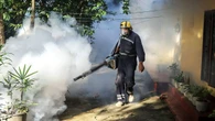 Epidemia najgorsza od dekad. Wojsko walczy z plagą komarów