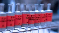 La rivoluzione dai batteri: sarà possibile trasformali per assorbire anidride carbonica