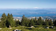 Una Svizzera ancora da scoprire nei 20 Parchi naturali che coprono quasi un sesto del suo territorio