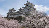 Il Giappone sta per tingersi di rosa: ecco quando fioriranno i sakura