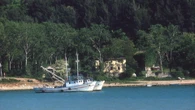 Istria (prima parte): Parenzo, Fasana e il Festival delle sardine