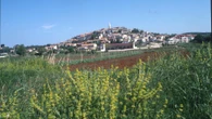 Istria (seconda parte): Rovigno, Orsera e il sacerdote casanova
