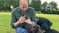 Il principe William compie 43 anni e festeggia il compleanno con una foto che conquista i social