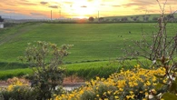 Magico Molise (prima parte): i semi, l’acqua e le foglie di Vinchiaturo