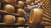 Il caldo mette a rischio il Parmigiano Reggiano: più costi per la gestione delle mucche e meno latte