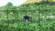 Dal mare ai monti, l’innovativo modello di agricoltura sociale che fa rivivere le valli