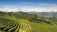 Divinea, la startup italiana del vino parla americano: Performant Capital rileva Wine Suite