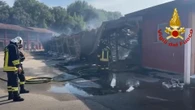 Incendio in un ippodromo a Treviso, morti almeno sei cavalli