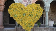 Costa Azzurra in giallo mimosa: da Le Cannet con Bonnard a Mandelieu – La Napoule con i mimosisti