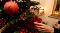 Altezza, acquisto e cura: ecco tutti i consigli per l’albero giusto di Natale