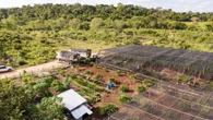 zeroCO2 lancia Selva: AI e satelliti per rendere più equi i crediti di carbonio