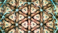 La Valletta capovolta: come Malta ha trasformato la sua identità culturale