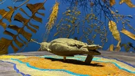 Barbados e Annalee Davis alle Corderie dell’Arsenale alla Biennale 2026