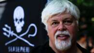 Arrestato in Groenlandia l'ambientalista Paul Watson; sfida il Giappone da anni contro la caccia alle balene