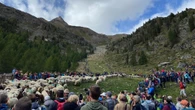 Transumanza e vendemmia con allevatori e viticoltori. Esperienze per tutti in Alto Adige e Friuli Venezia Giulia