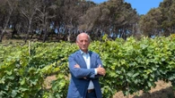 Vino, cantine piene e consumi in calo: via libera delle aziende a ridurre la produzione