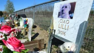 Sepolti insieme ai propri cani e gatti:  Cirié è primo comune a dire sì agli animali nella tomba