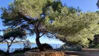 Isole Lérins (seconda parte): Saint-Honorat, Saint-Patrick e frère Marie