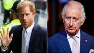 Harry, la regina Camilla furiosa con Carlo: “Il perdono gli si ritorcerà contro”