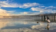 Surf per tutti nella California del “Surfing Day”. E si cavalcano le onde anche in montagna