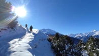Sui sentieri dei lupi: camminando nello Stelvio dove tutto è collegato