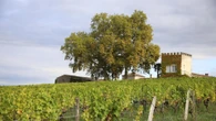 Nuova Aquitania: i dolci vigneti del Sauternais, il Manoir de la Malle e il Castello di Montaigne