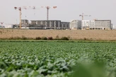 Plus de 20 000 hectares bétonnés chaque année : l’artificialisation des sols ne baisse que légèrement en France, selon un rapport