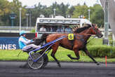 PMU - Arrivée du quinté du samedi 7 septembre à Paris-Vincennes : Hero Sibey reçu 5 sur 5