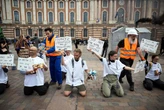 Toulouse : des écologistes manifestent contre l’A69, la police effectue six interpellations