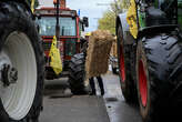 Accumulation des normes, retards de paiements... des agriculteurs manifestent dans la Marne et en Bourgogne-Franche-Comté