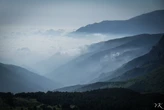 Pyrénées-Orientales : promenons-nous dans les bois… pendant que le soleil n’y est pas