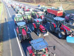 Colère des agriculteurs : la FNSEA annonce de nouvelles mobilisations nationales « à partir de lundi » 19 novembre