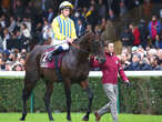 Hippisme : les résultats de l’autopsie du cheval décédé lors du Prix de l’Arc de Triomphe révélés