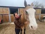 Passionnés de chevaux, ils ouvrent un théâtre équestre à Radonvilliers dans l’Aube