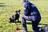 À Rennes, les chiens policiers pourront sortir des box du chenil grâce aux 10 000 euros de dons