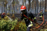 Hérault : plus de 200 pompiers mobilisés sur un feu de forêt, 30 hectares de végétation déjà brûlés