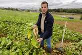 Le groupe sucrier Saint-Louis parie sur l’ « agriculture régénératrice » dans sa ferme agroécologique d’Étrépagny