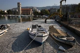 Des centaines de milliers de poissons morts flottent à la surface du port touristique de Volos en Grèce