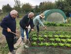 Des terrains de tennis à la place des jardins ouvriers : les amateurs de potagers montent au créneau à Reims