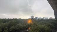 Orage à Paris : les images impressionnantes d’un arbre du cimetière Montparnasse frappé par la foudre