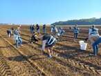 Loiret : Solaal alimente les associations caritatives grâce au glanage solidaire