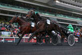 PMU - Arrivée du quinté du dimanche 17 novembre à Paris-Vincennes : Hussard du Landret premier qualifié pour l’Amérique