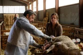 Audiences TV : « La doc et le véto » sur France 3 plus fort que la finale de « Koh-Lanta » sur TF 1