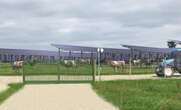 Finistère : des vaches paîtront-elles bientôt une herbe « plus verte » sous des panneaux photovoltaïques à Plonéour-Lanvern ?