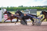 PMU : Arrivée du quinté du lundi 15 juillet à Argentan : Harmonista décroche la médaille d’or