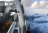 Pêche industrielle, installations pétrolières… toujours trop d’activités dans les aires marines protégées