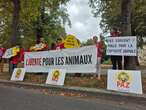 Bien-être animal : à Paris, l’aquarium de la Porte Dorée s’attire les foudres de l’association PAZ